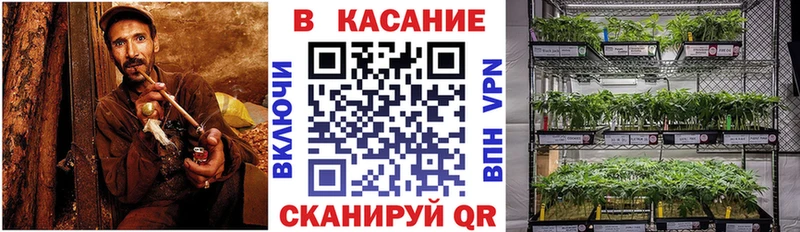 Конопля Нягань