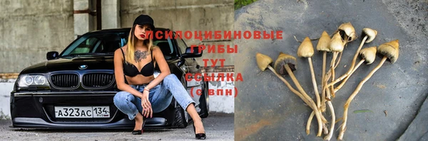 экстази Абаза