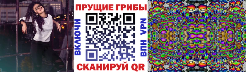 Галлюциногенные грибы мицелий  блэк спрут   Нягань  как найти закладки 